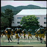 伤停信息图标示意